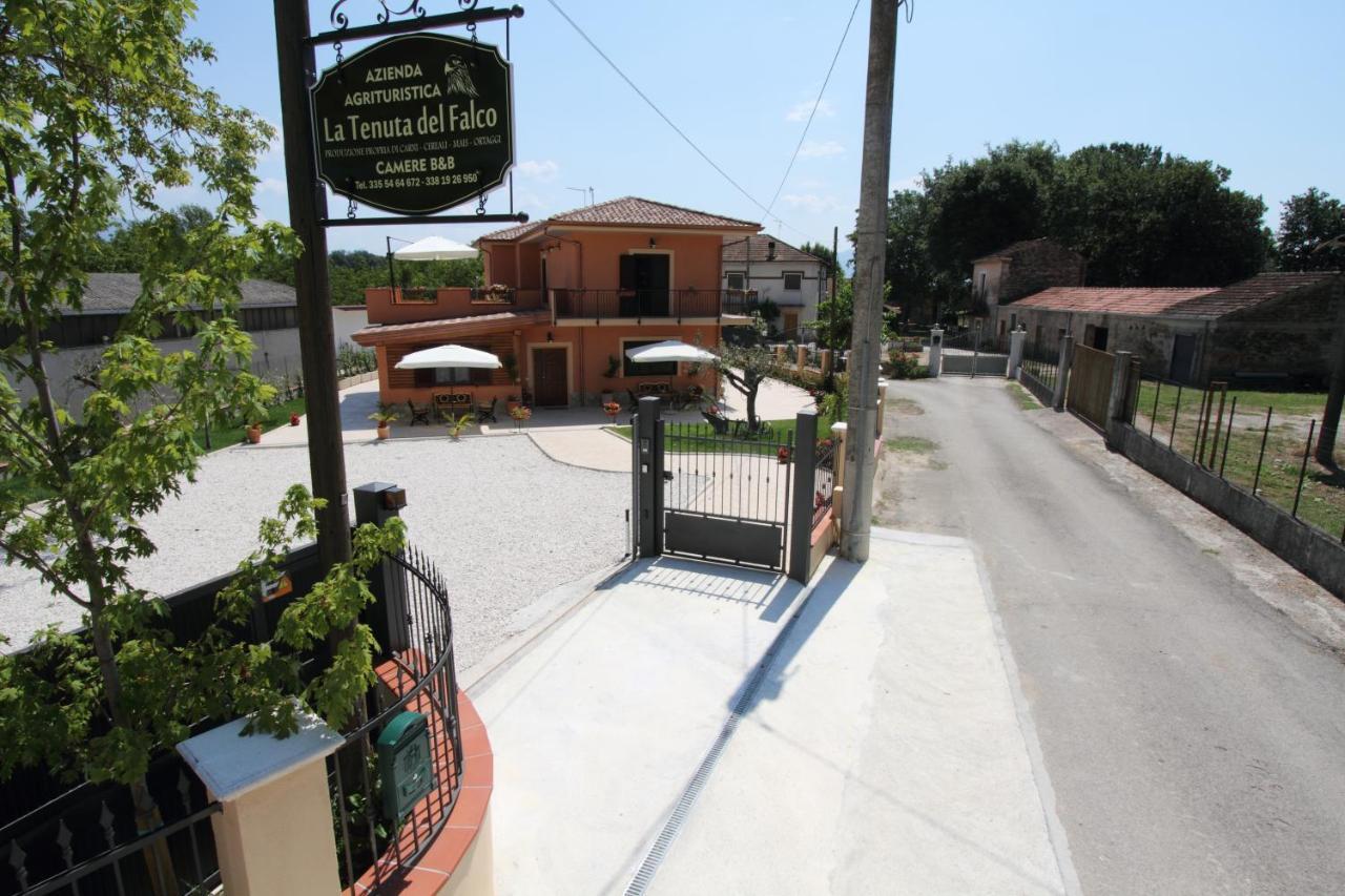 Azienda Agrituristica La Tenuta Del Falco Piedimonte San Germano ภายนอก รูปภาพ