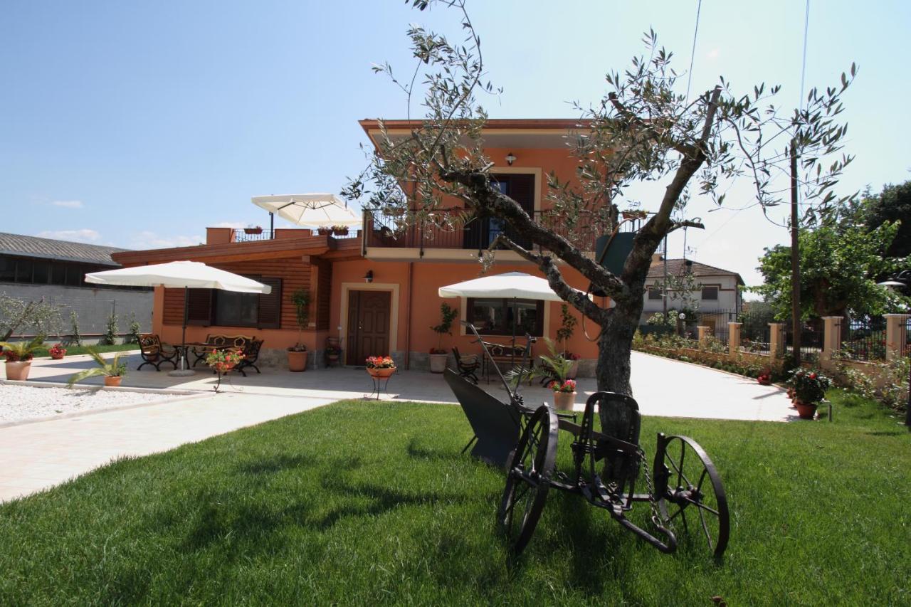 Azienda Agrituristica La Tenuta Del Falco Piedimonte San Germano ภายนอก รูปภาพ