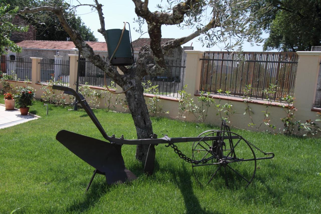 Azienda Agrituristica La Tenuta Del Falco Piedimonte San Germano ภายนอก รูปภาพ