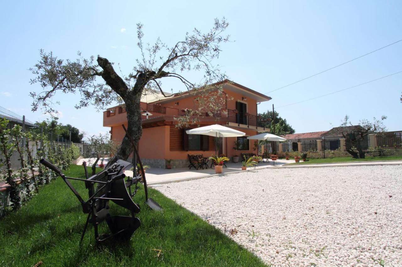 Azienda Agrituristica La Tenuta Del Falco Piedimonte San Germano ภายนอก รูปภาพ