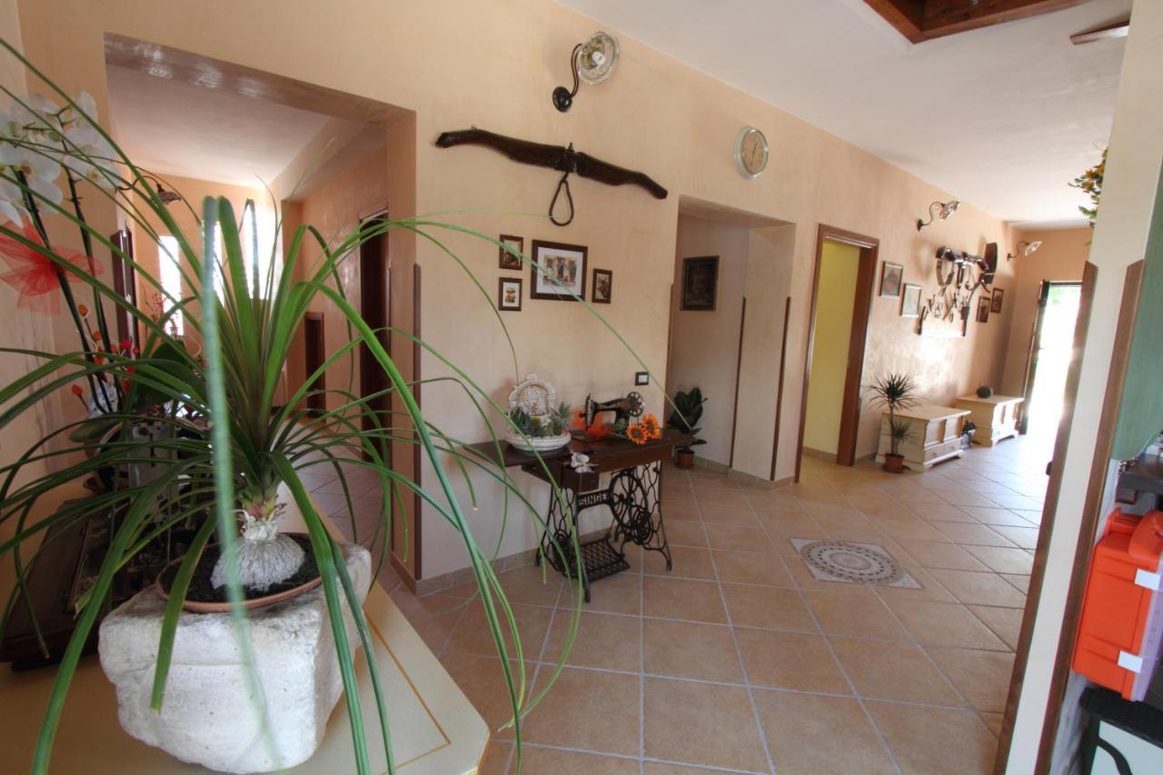 Azienda Agrituristica La Tenuta Del Falco Piedimonte San Germano ภายนอก รูปภาพ